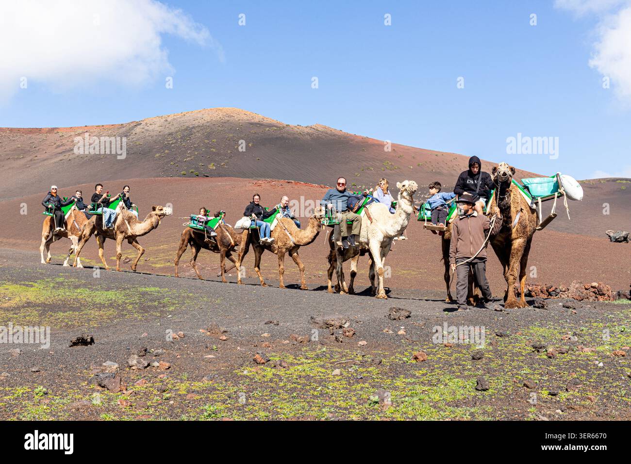 Kamelwanderung in Echadero de los Camellos in der Nähe der kleinen Stadt Yaiza im Südwesten der Kanarischen Insel Lanzarote, Spanien Stockfoto