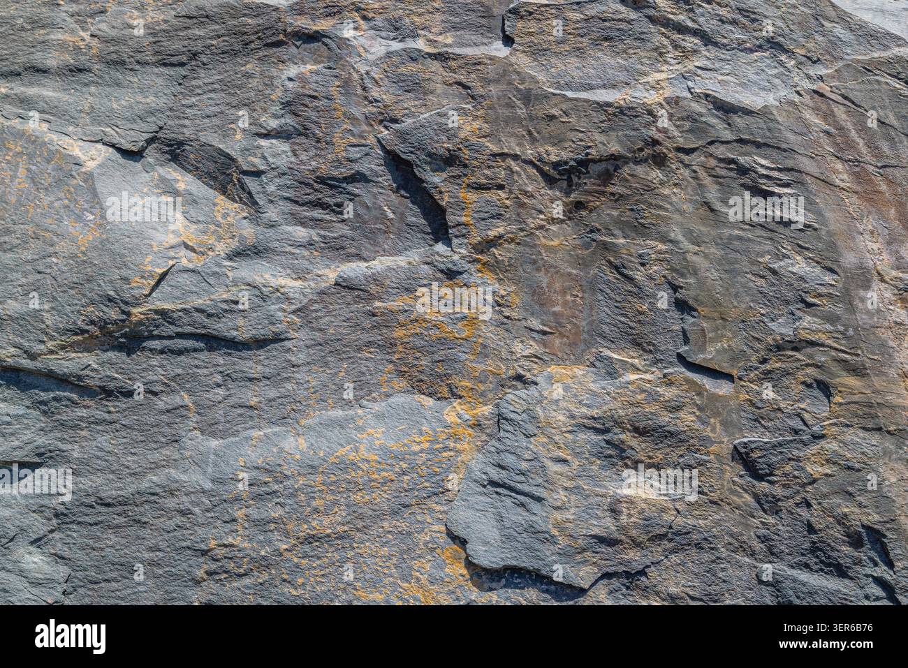 Die Nahaufnahme zeigt komplizierte Mineralgänge und die mehrschichtige Textur von grauem Stein. Natürliches Tageslicht hebt geologische Muster auf rauer Oberfläche hervor. Stockfoto