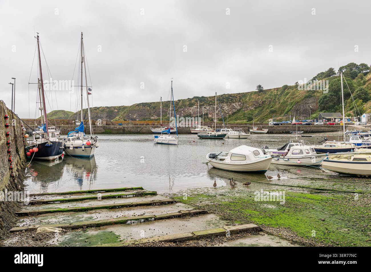 Boote bei Ebbe in Stonehaven - Cowie Harbour, Aberdeenshire, Schottland Stockfoto