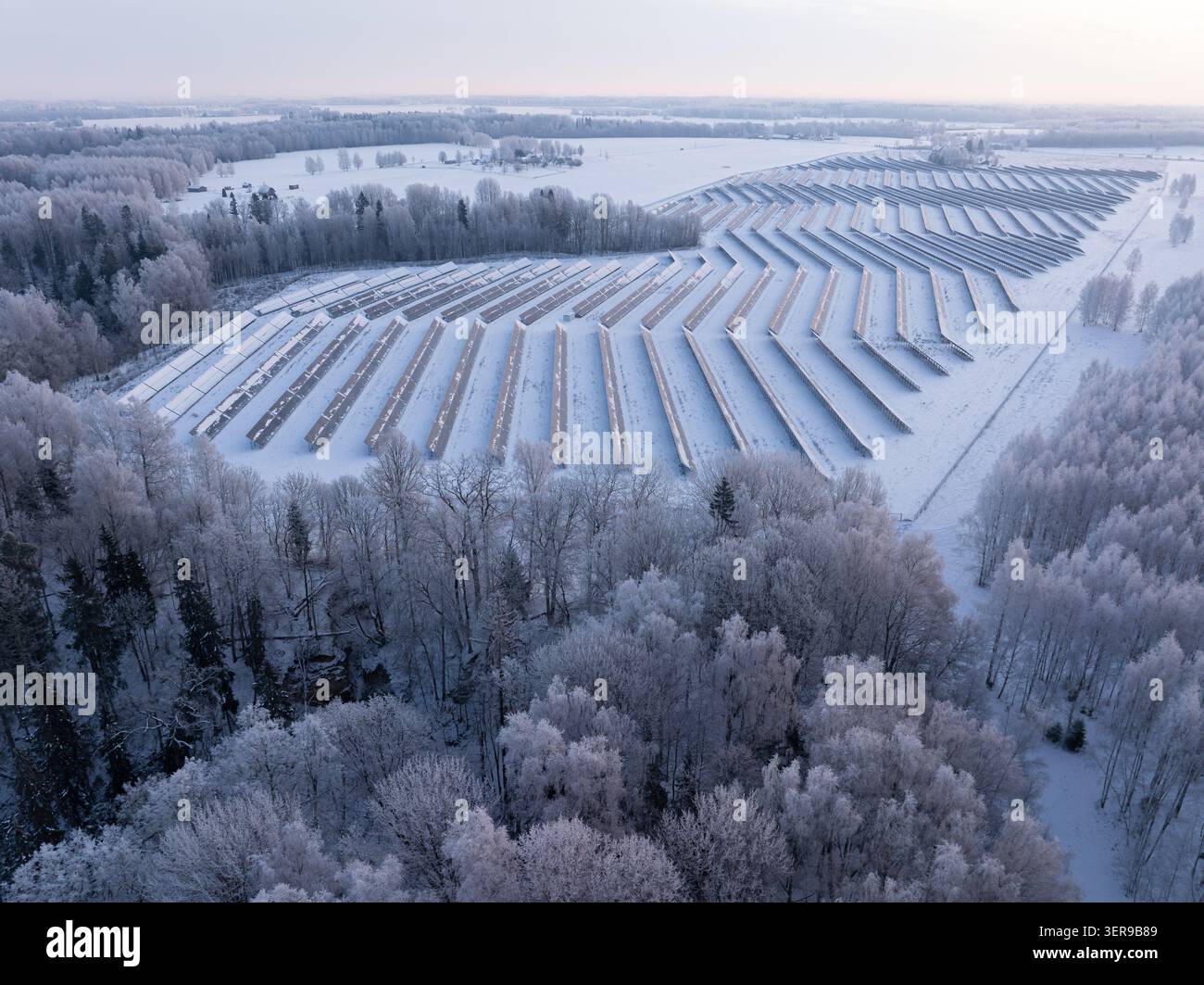 Luftpanorama eines schneebedeckten Solarkraftwerks, umgeben von einem Milchwald in der Nähe von Sigulda, Lettland Stockfoto