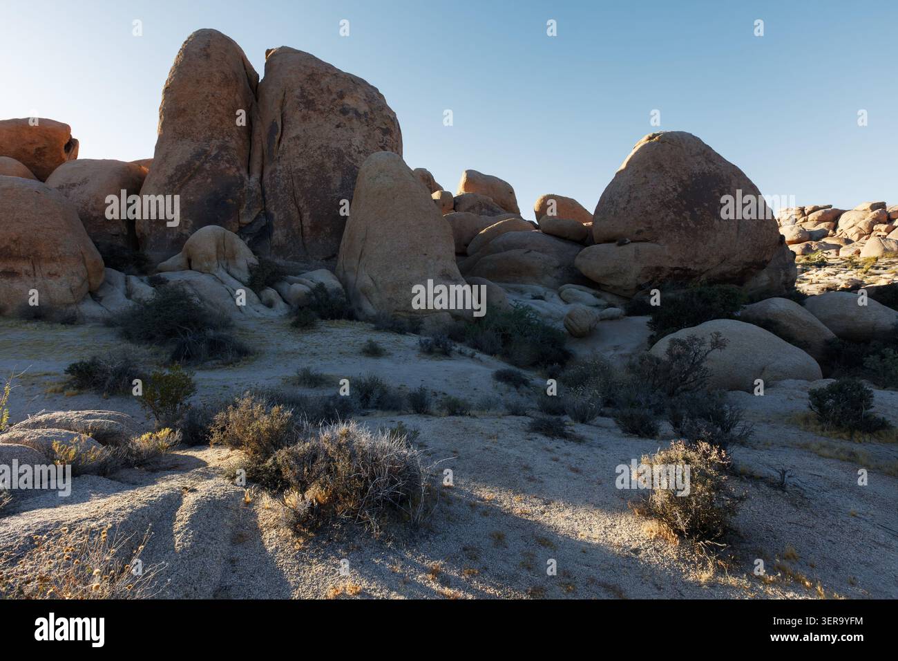 Joshua Tree Nationalpark, Kalifornien, USA Stockfoto