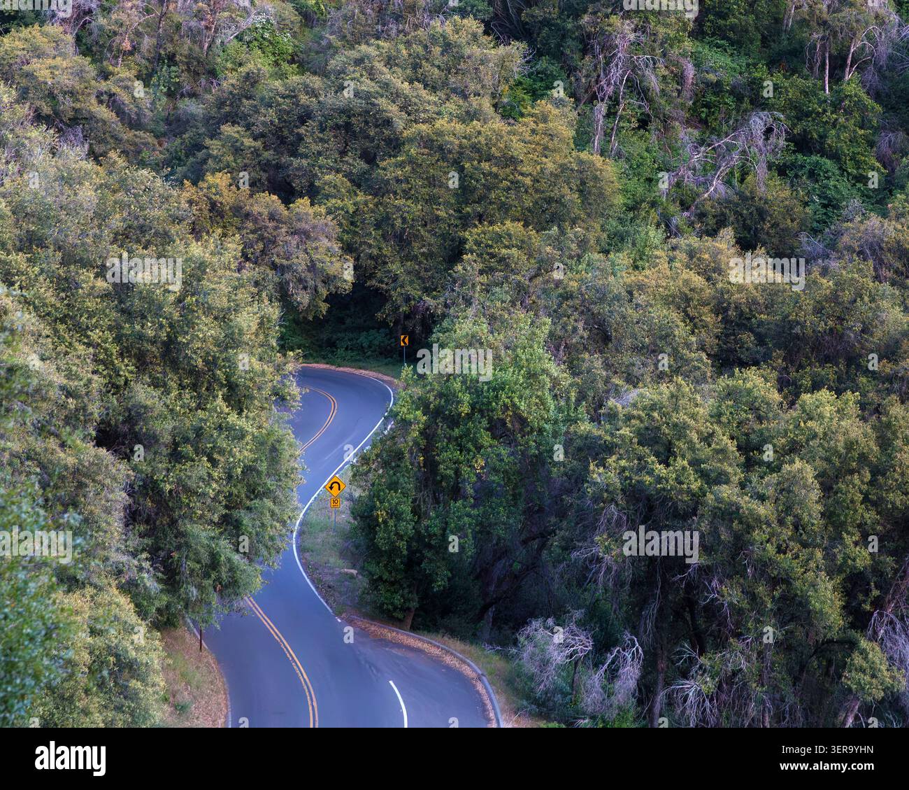 Landschaftlich reizvoller Generals Highway, Sequoia National Park, Kalifornien, USA Stockfoto