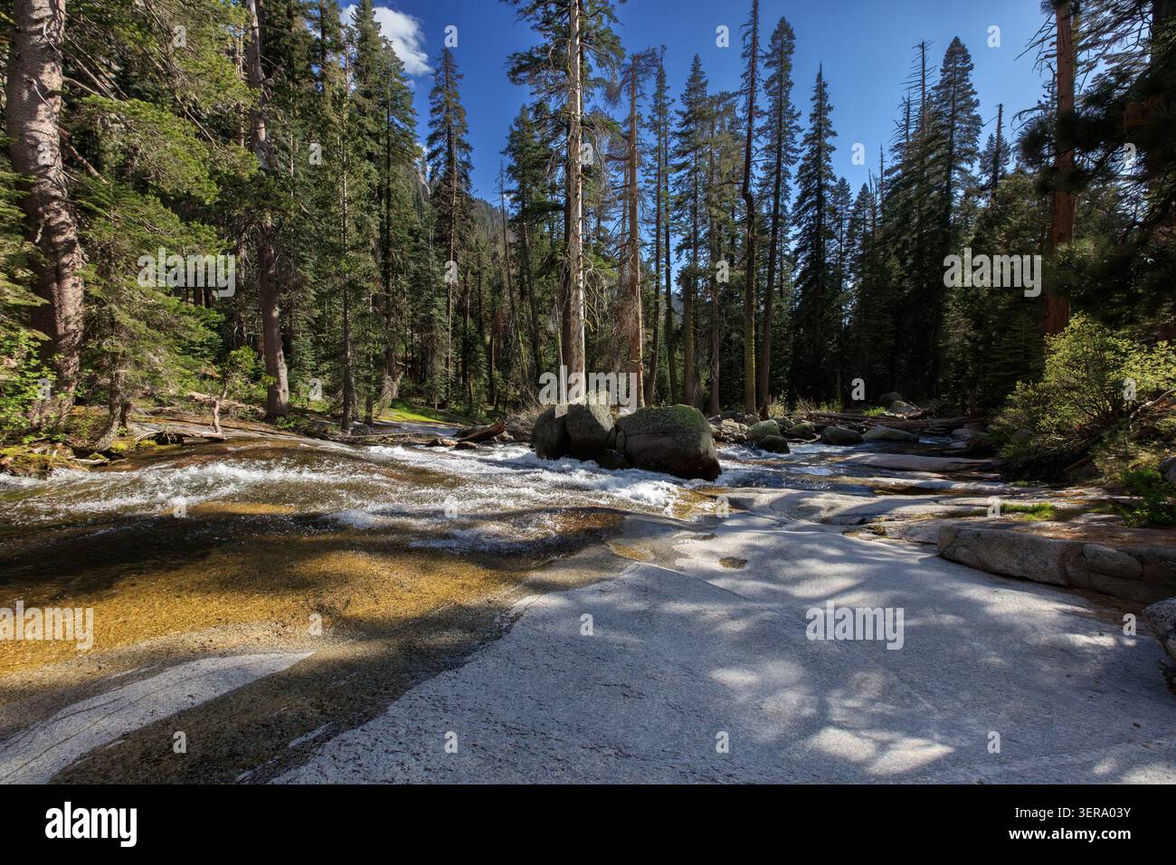Schnee schmilzt über Granit, flussabwärts der Tokopah Falls, Sequoia National Park, Kalifornien, USA Stockfoto