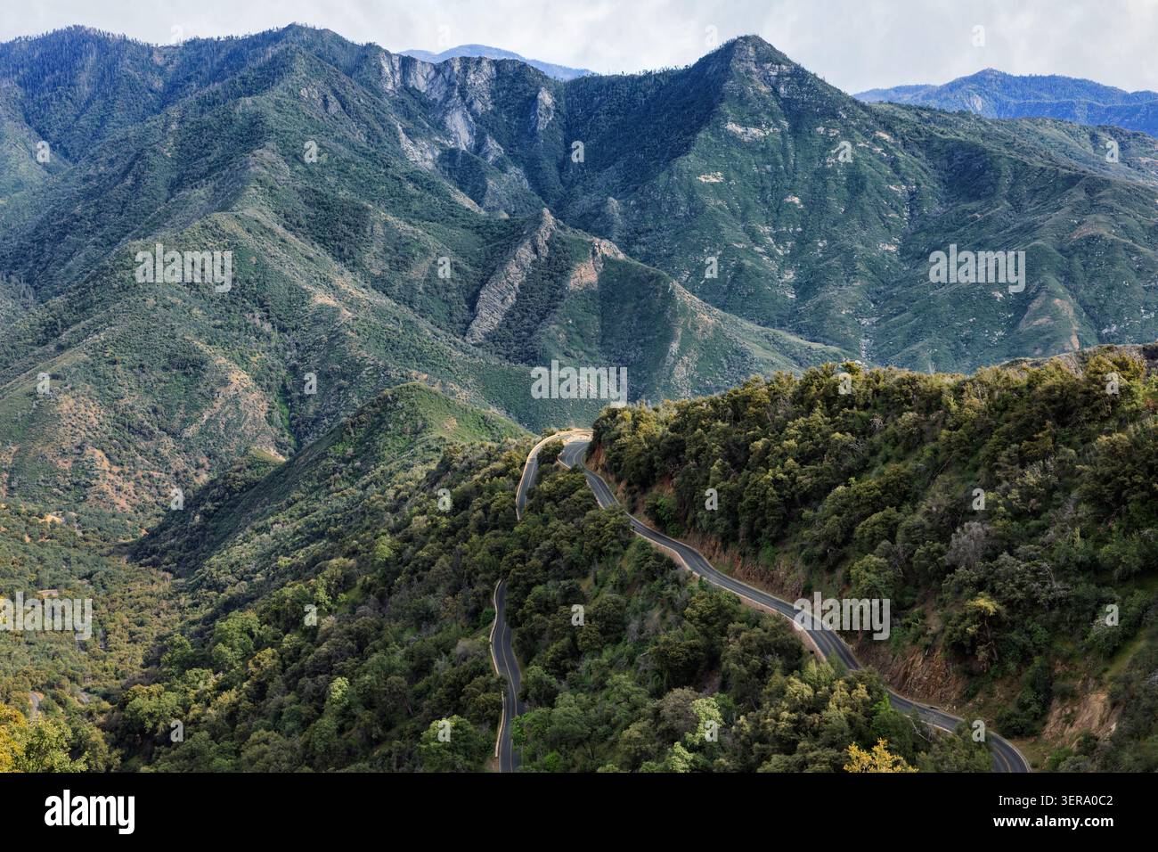 General's Highway windet sich durch die Sierra Nevada Mountains, den Sequoia National Park, Kalifornien, USA Stockfoto