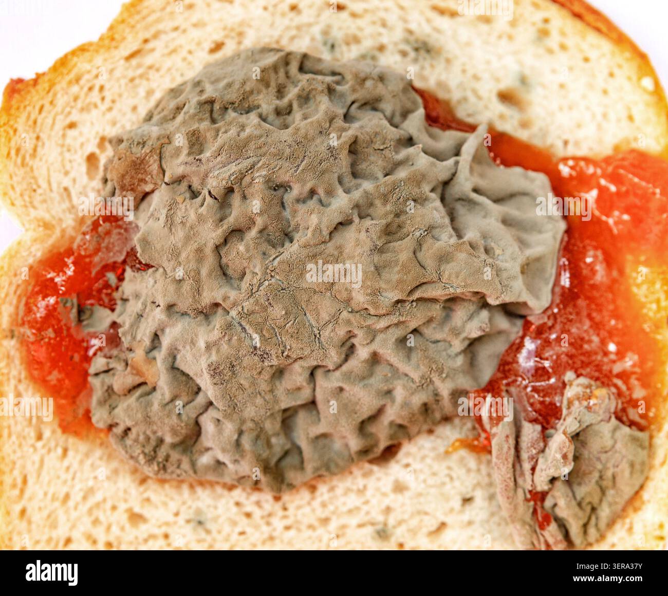 Bizarres Lebensmittelstück auf Brot mit Marmelade an einem Küchentisch bei Tageslicht Stockfoto