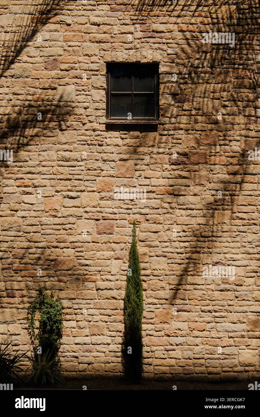 Sonnendurchflutete Steinmauer mit einem kleinen dunklen Fenster, Baumschatten und zwei schmalen Pflanzen an der Basis. Rustikaler Hintergrund im Freien mit warmer Textur und ruhig, m Stockfoto