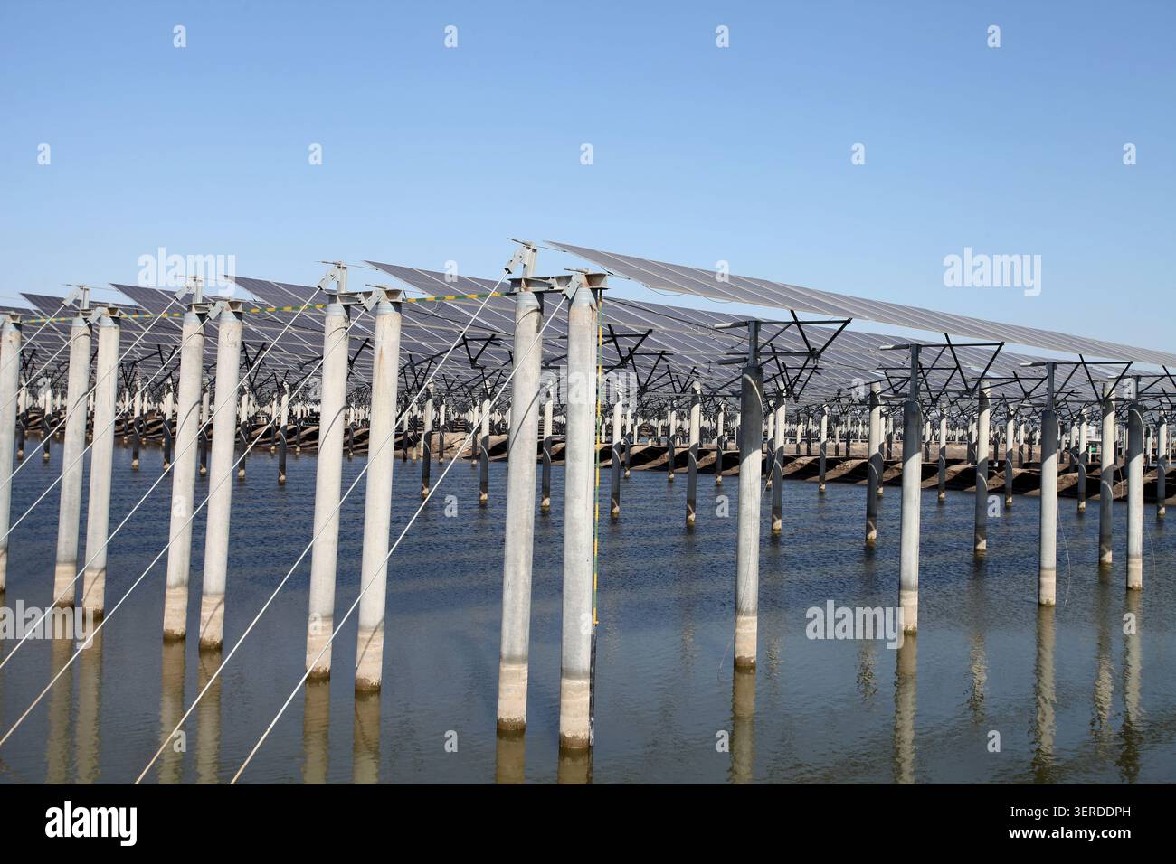 Ordentlich angeordnete Photovoltaik-Solarpaneele und Stützpfeiler auf der Wasseroberfläche bilden ein großes schwimmendes Photovoltaik-Kraftwerk, das das realisiert Stockfoto