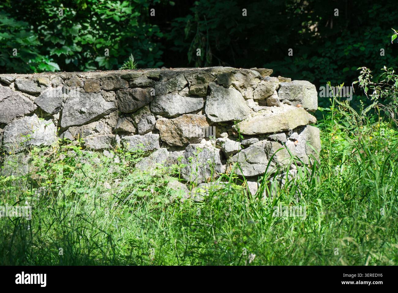 Sonnenlicht tanzt auf einer alten Steinmauer, umgeben von lebendigem, wildem Gras. Stockfoto