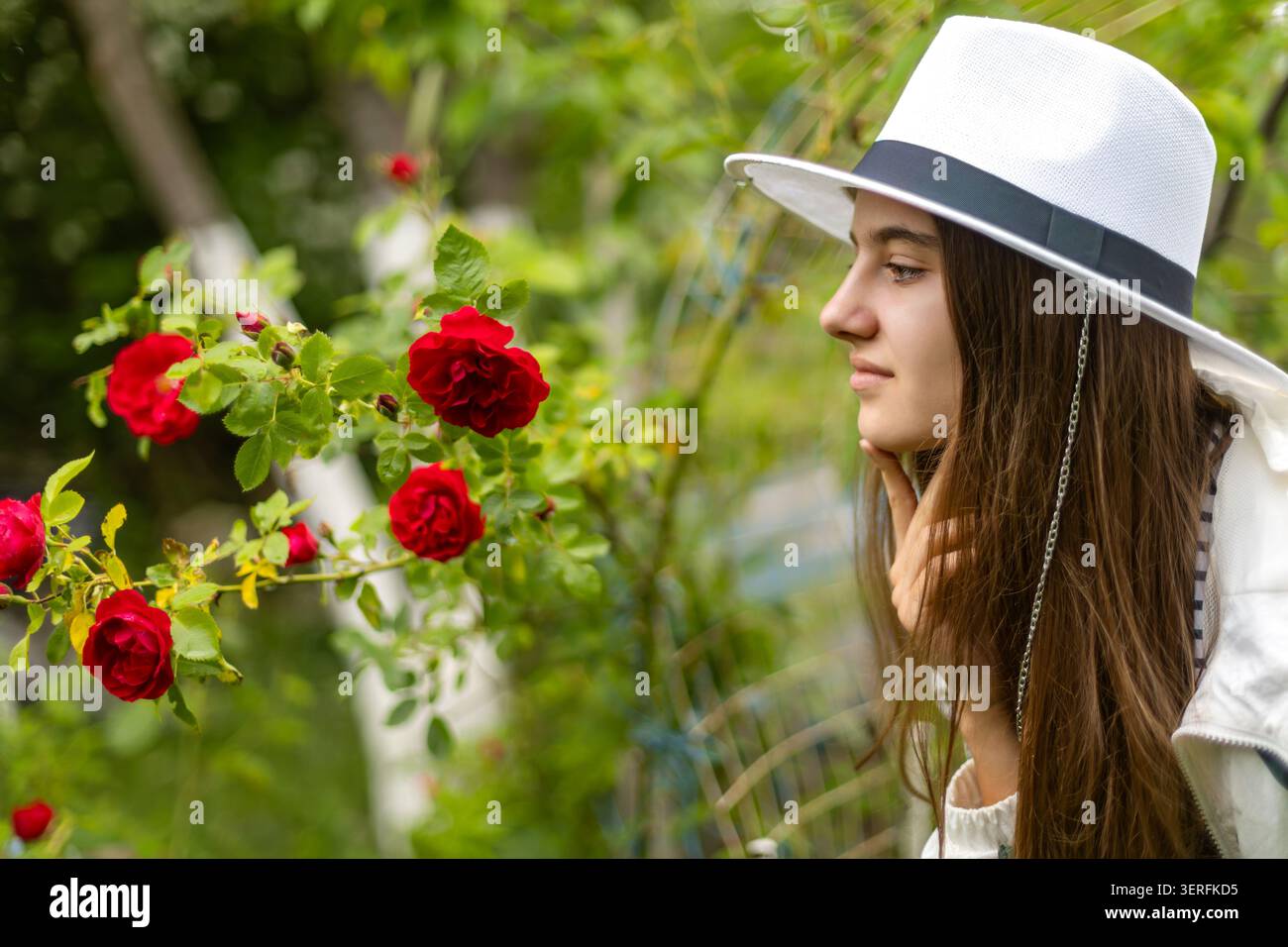 Junge Frau mit weißem Hut, die rote Rosen bewundert. Eine junge Frau mit weißem Hut schaut sich blühende rote Rosen in einem üppig grünen Garten an. Stockfoto