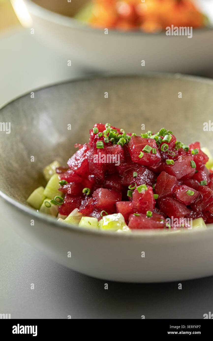 Gourmet-Thunfisch-Tatar mit Gurkenwürfeln Stockfoto