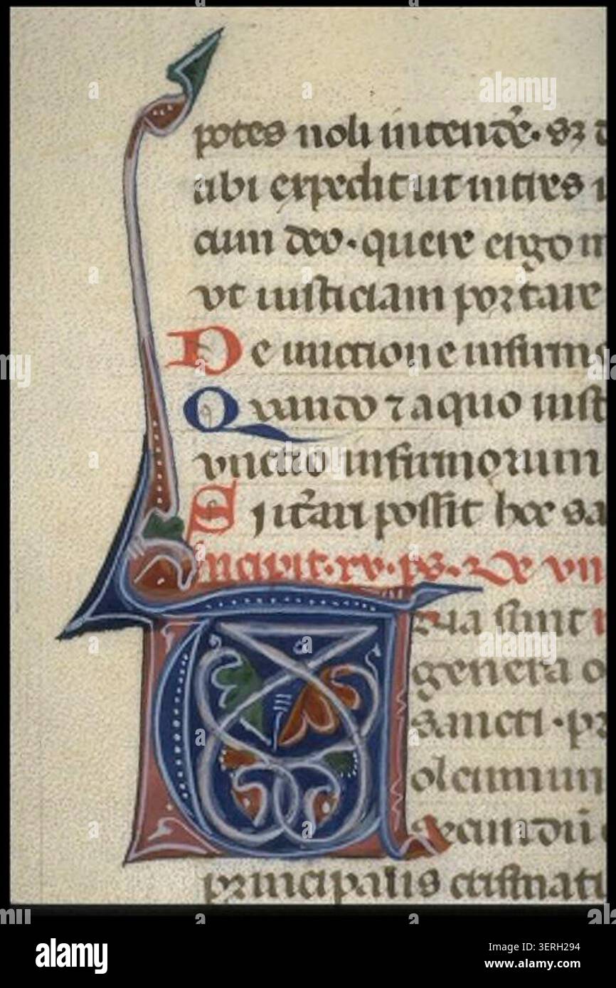 Das ornamentale Kapital T bildet eine pflanzliche Rollkomposition innerhalb einer mittelalterlichen lateinischen Handschriftentradition aus dem Jahr 1300, in der fließende Pflanzenstiele den Buchstaben zu einem dekorativen gotischen Seitenelement für die beleuchtete Textöffnung strukturieren. Stockfoto
