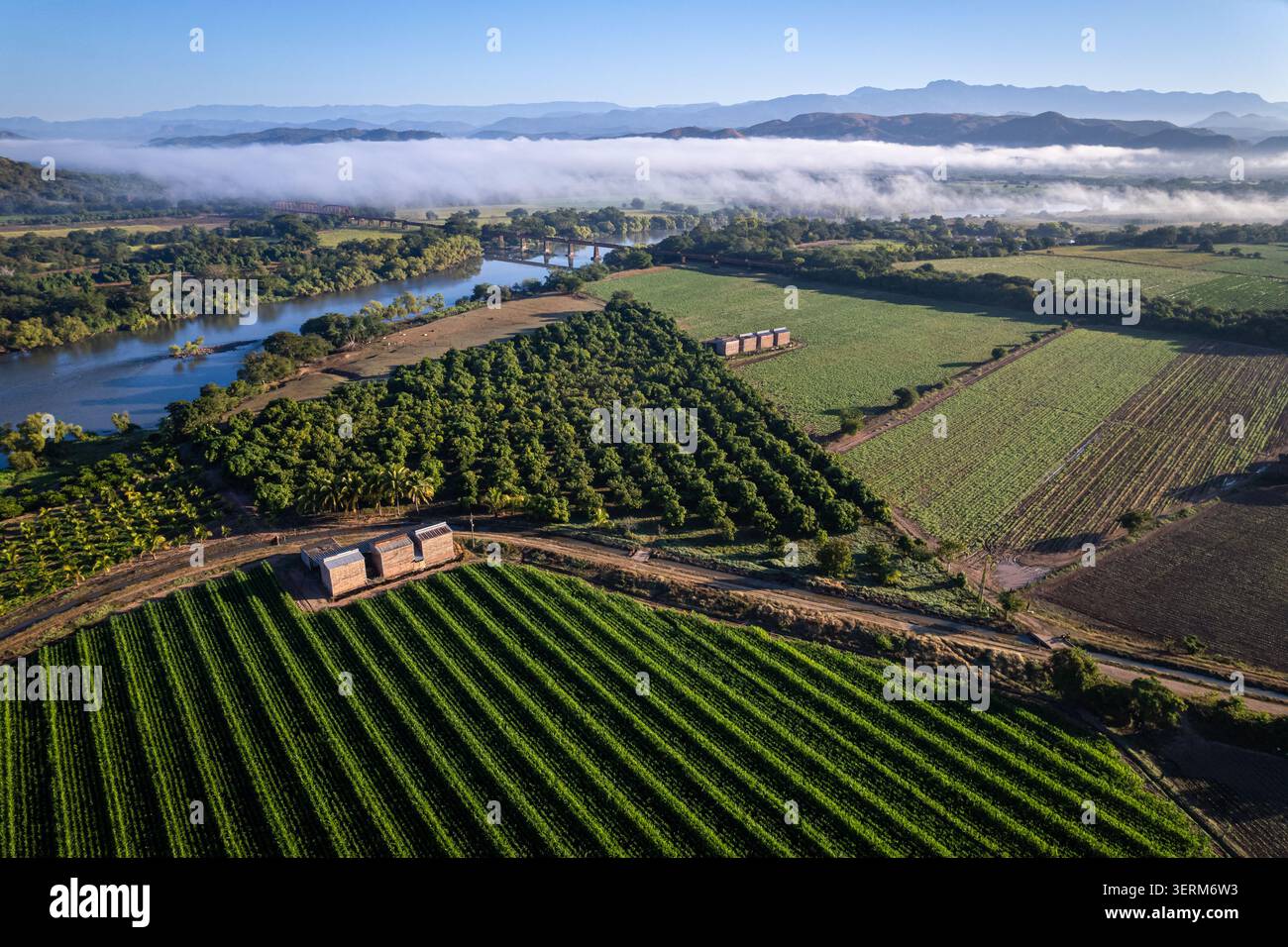 Grüne Felder säumen den Grande de Santiago River, Nayarit, Mexiko. Stockfoto