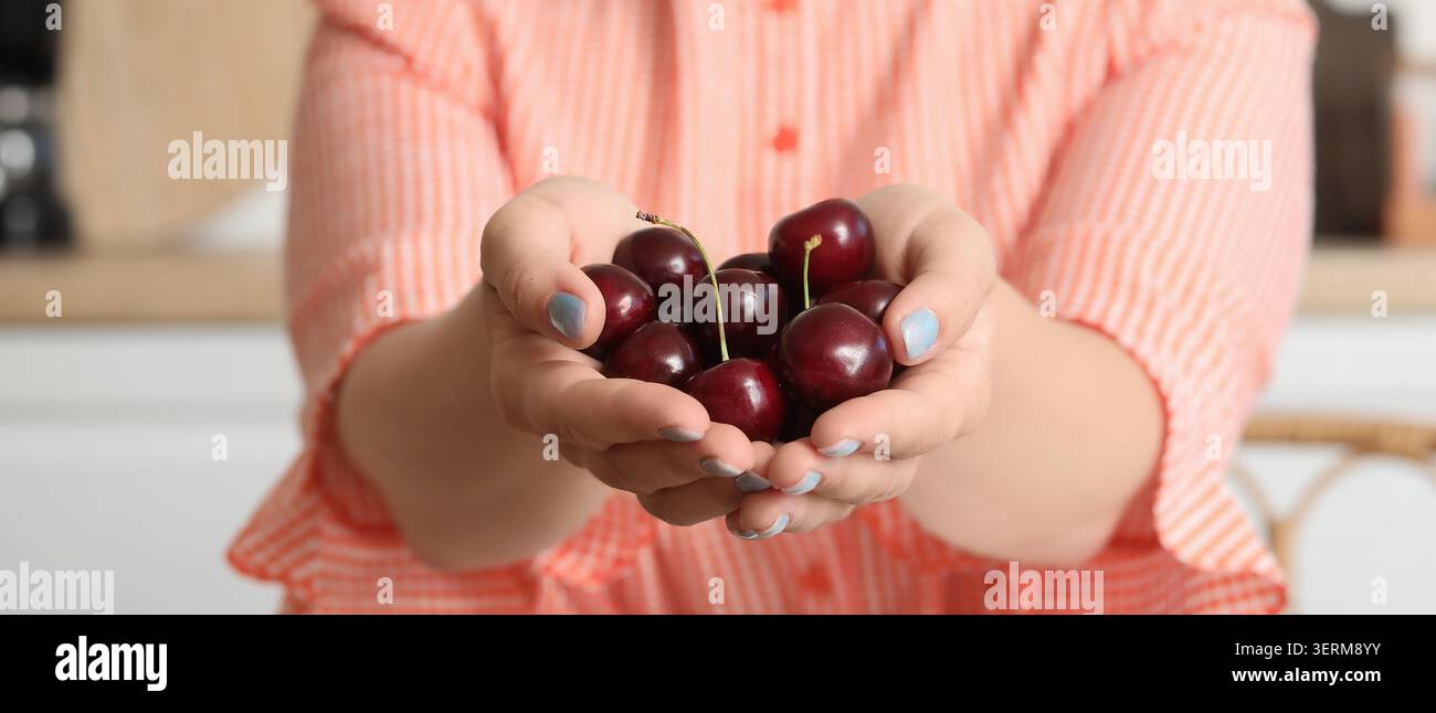 Frisch gepflückte, reife rote Kirschen in Schalen gehalten, gesunder Obstsnack, natürliche Süße, Sommerernte, Bio-Produkte Stockfoto