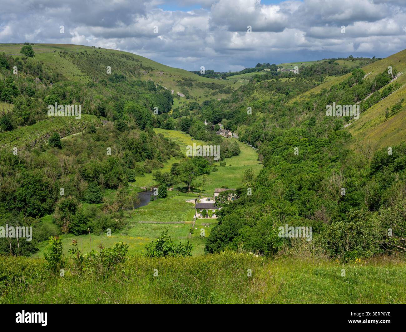 Ein Blick auf den Monsal Dale vom Aussichtspunkt Monsal Head an einem sonnigen Sommertag, Peak District, Derbyshire, Großbritannien Stockfoto