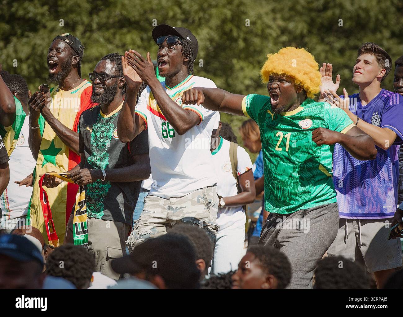 Passionierte Fußballfans feuern gemeinsam im Freien an Stockfoto