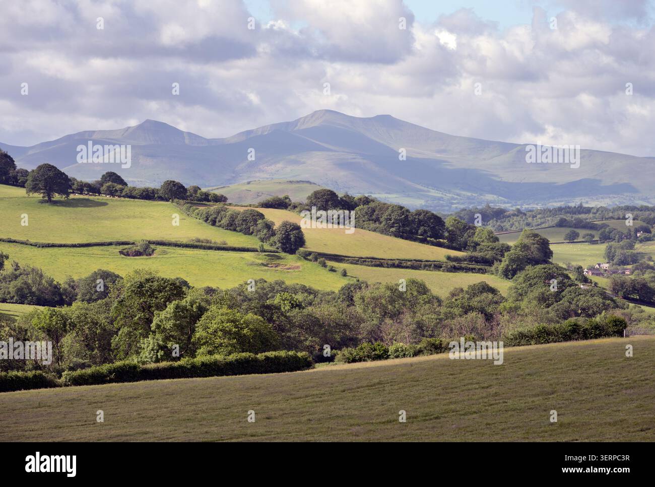 Blick auf Cribyn, Pen Y Fan und Corn du Peaks, Brecon Beacons (Bannau Brycheiniog) Nationalpark von Norden aus. Stockfoto