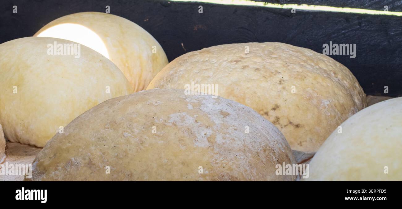 Handgefertigte Hutsul-Käseräder, die in einer traditionellen Bergmilchei auf einer Karpaten-Polonyna Reifen, erhalten das lokale kulinarische Erbe. Stockfoto