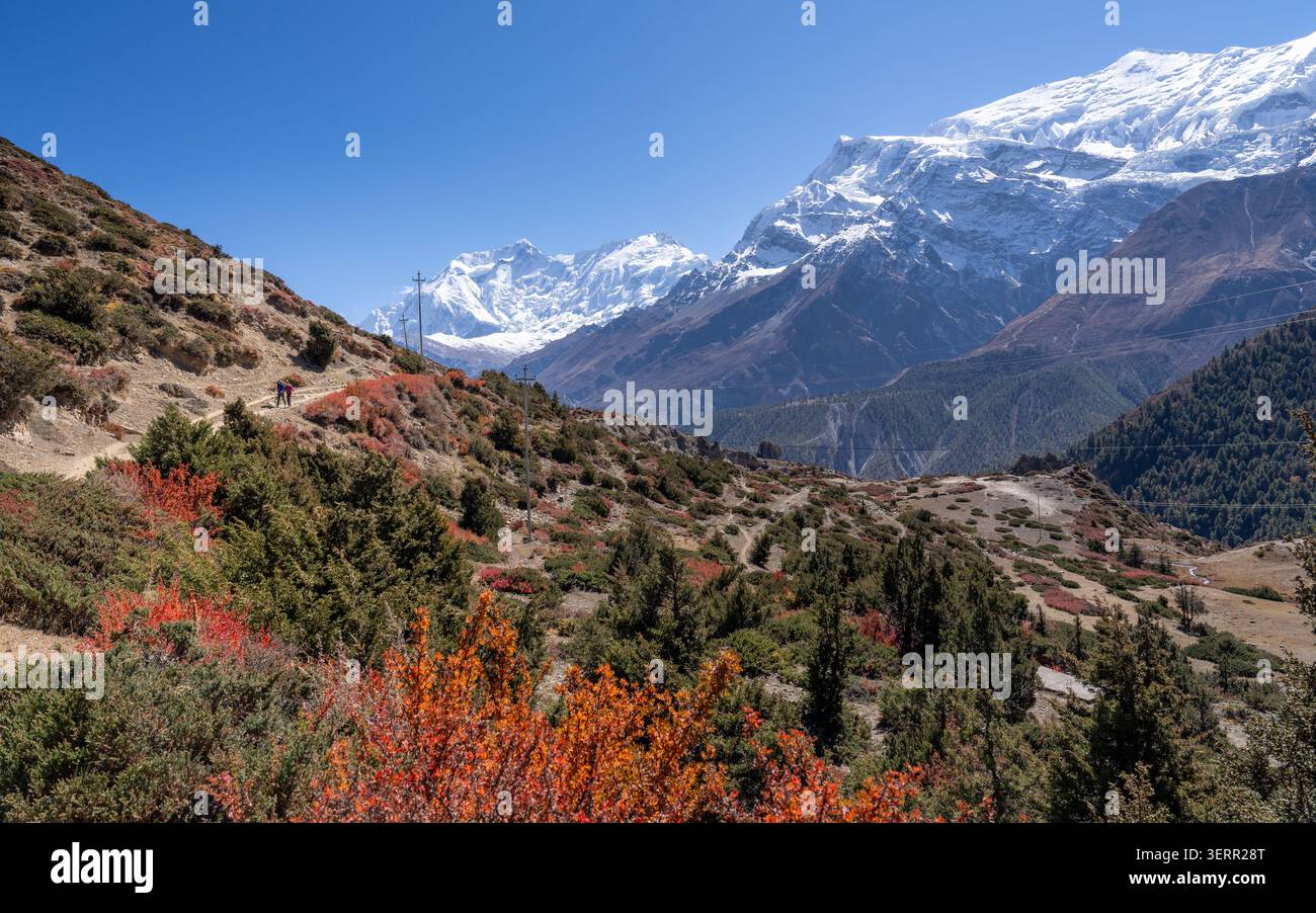 Pfad zu Yak Kharka unter dem Annapurna-Massiv auf dem Annapurna Circuit in der Manang-Region des nepalesischen Himalaya Stockfoto