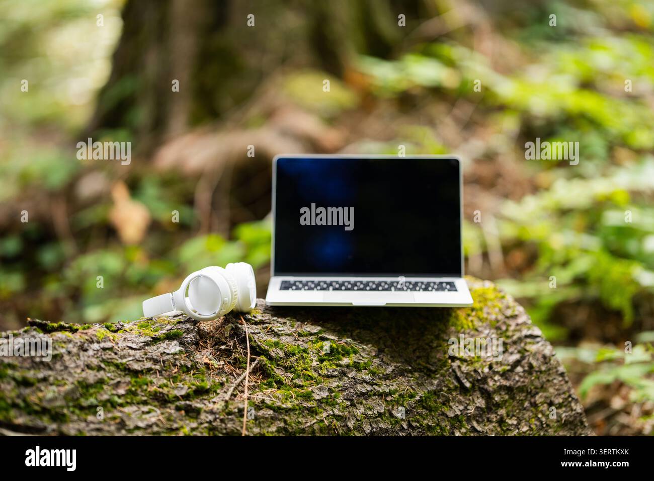 Laptop und kabellose Kopfhörer auf einem Baumstamm im Wald Stockfoto