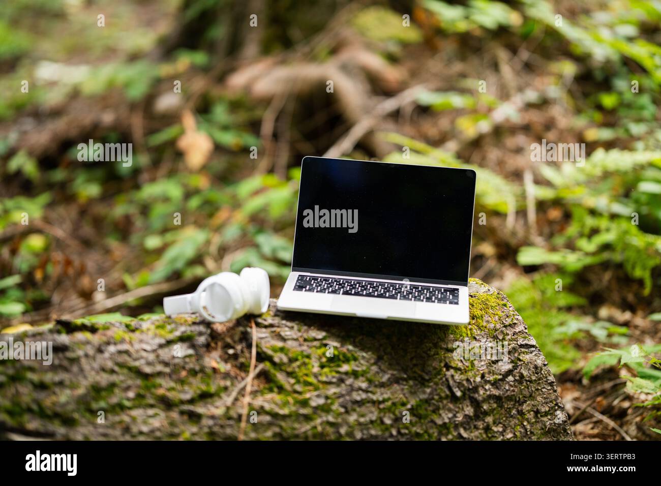 Laptop und kabellose Kopfhörer auf einem Baumstamm im Wald Stockfoto