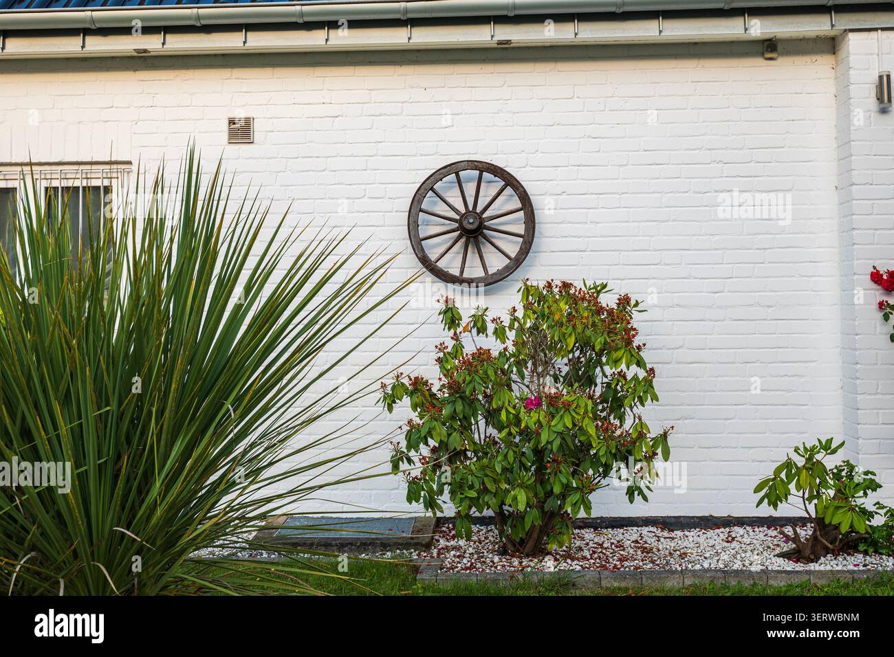 Hölzerne Wagenräder an der Wand eines weißen Backsteinhauses, rustikale Gartendekoration mit grünen Pflanzen und Ziersträuchern, Außendesign im Landhausstil Stockfoto