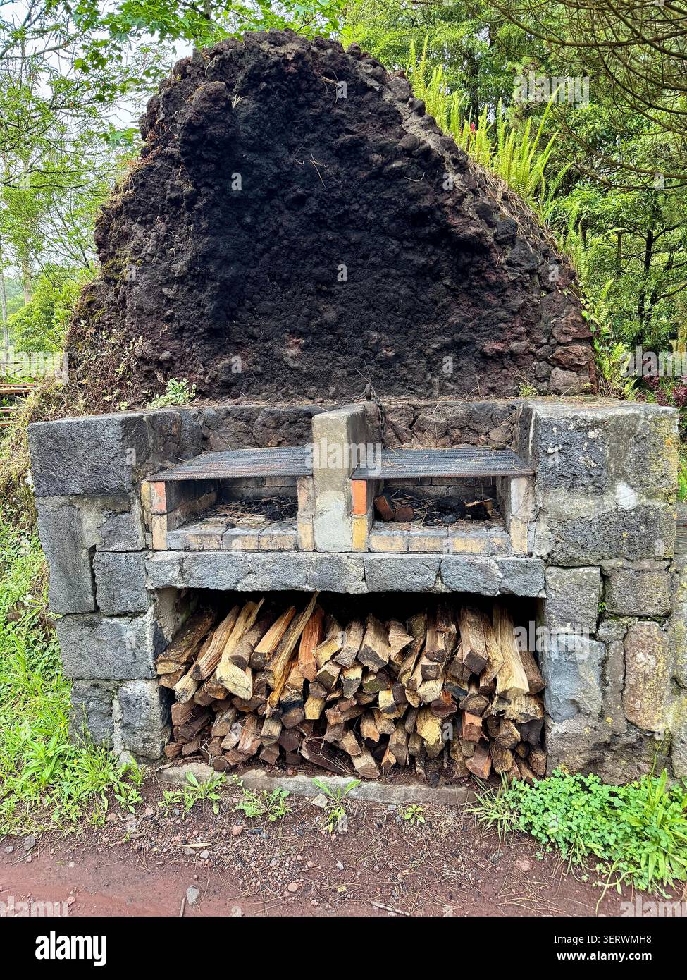 Traditionelle Grillmöglichkeiten mit Brennholzlager im Naturreservat Pinhal da Paz, Insel São Miguel, Azoren, Portugal. Stockfoto