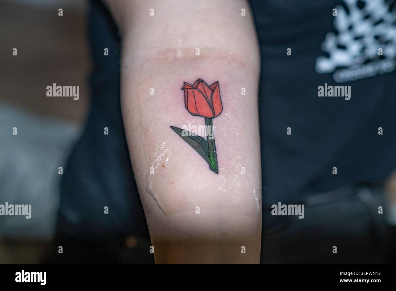 Das ist ein Nahaufnahme-Foto von einem kleinen, frischen Tattoo auf jemandes innerem Unterarm. Das Tattoo besteht aus einer einfachen, stilisierten roten Tulpe mit einem grünen Stiel und einem grünen Stiel Stockfoto