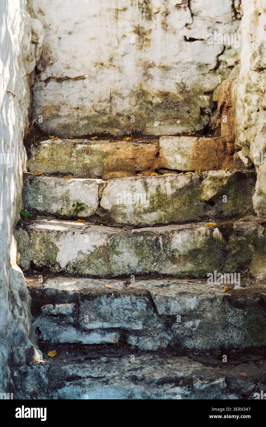 Alte Steintreppe Stockfoto