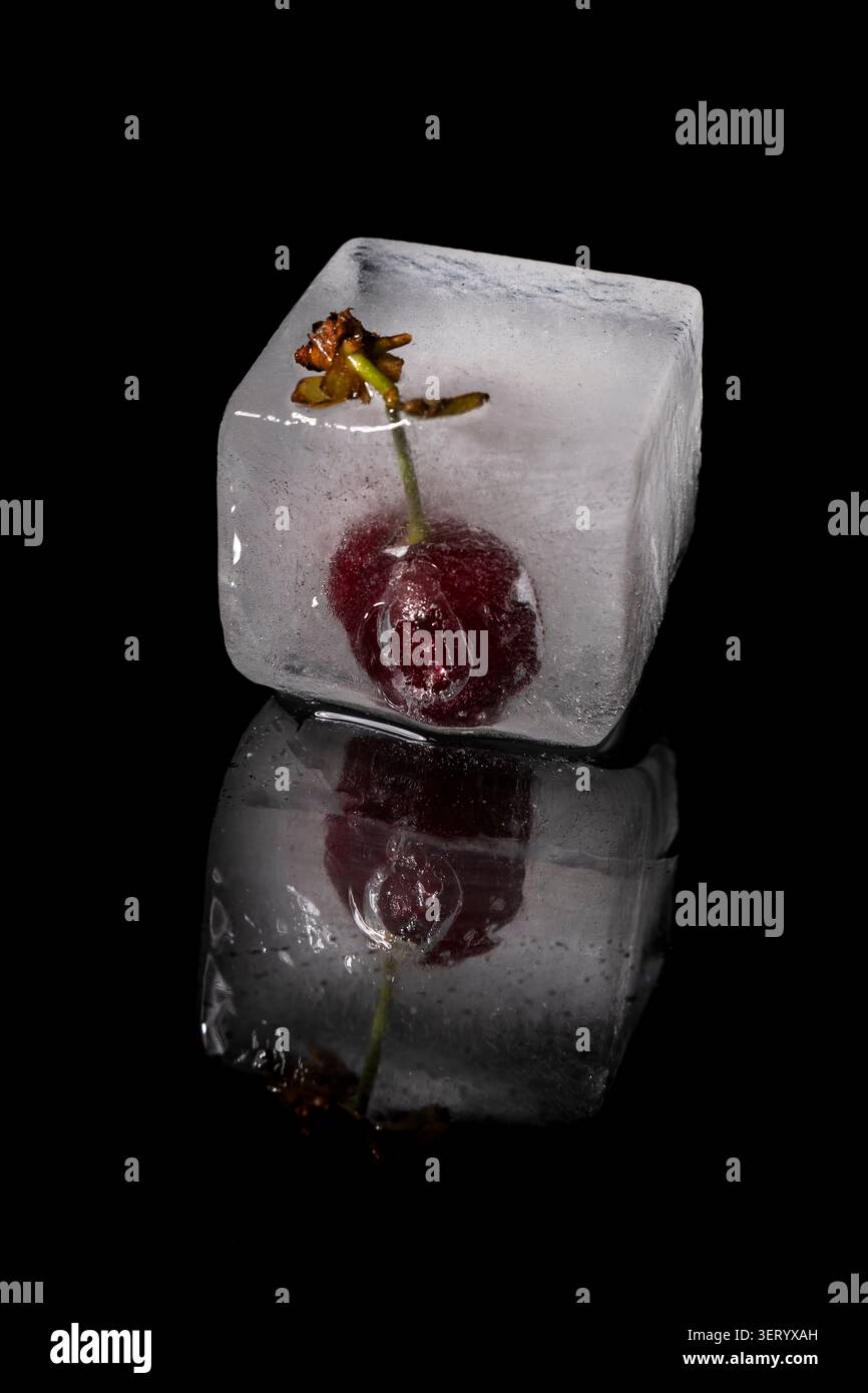 Eine Kirsche ist in einem großen Eiswürfel gefangen, mit Reflexion auf dem glänzenden schwarzen Hintergrund darunter Stockfoto