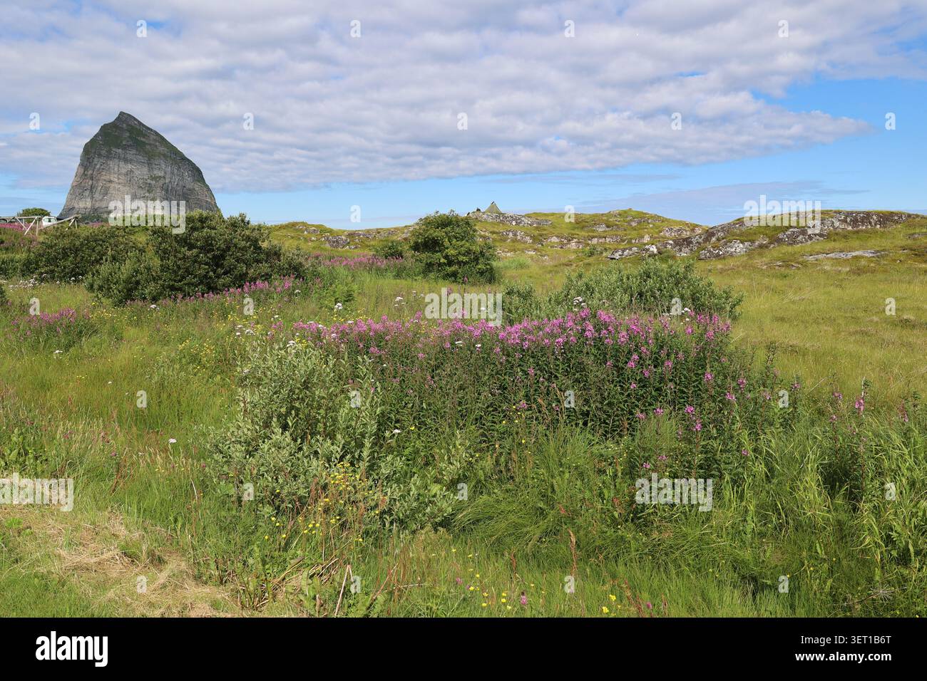 Fantastische Landschaft der Insel Traena, Norwegen Stockfoto