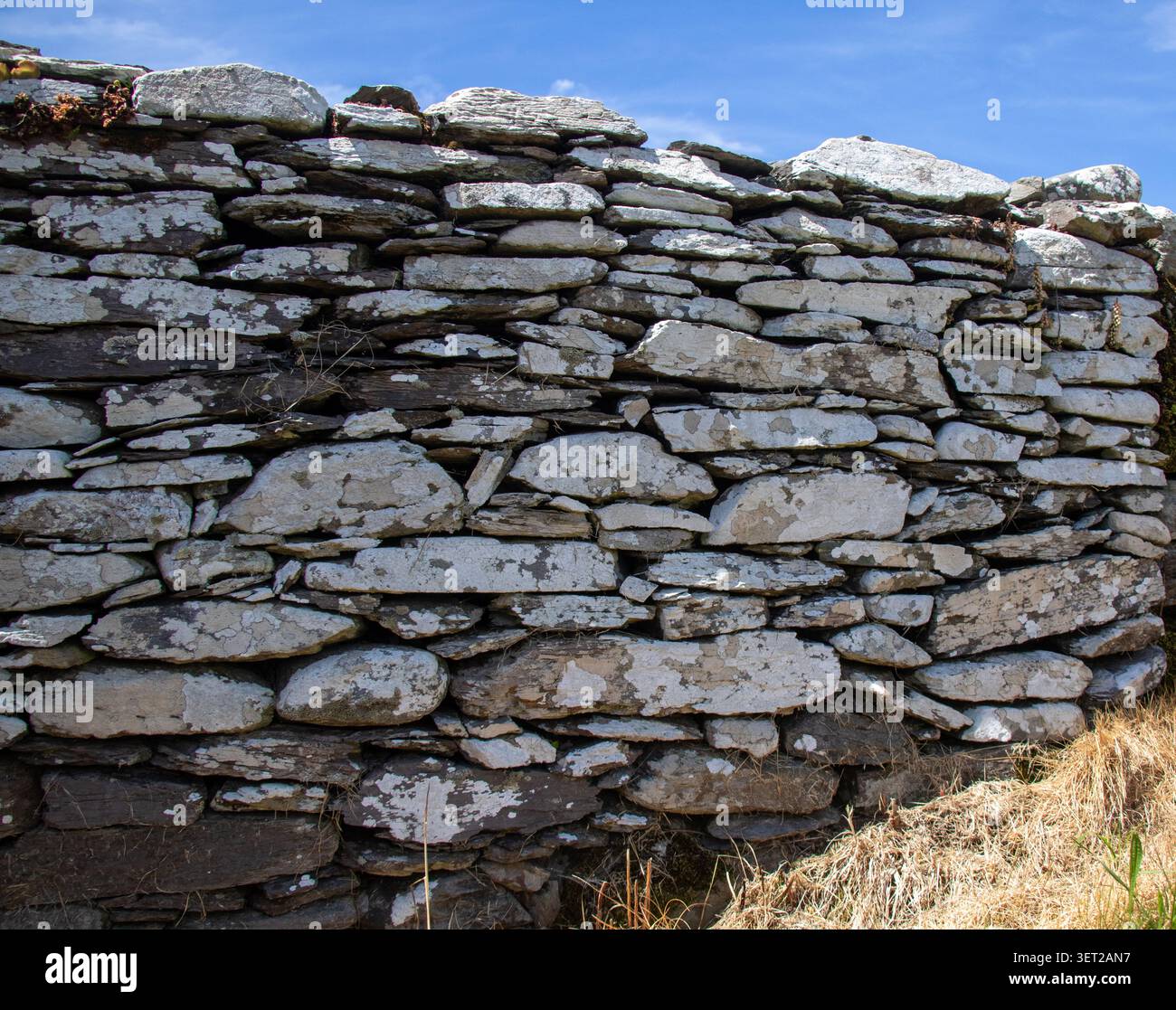 Alte Trockenmauer Feldgrenze bedeckt mit Flechten Stockfoto