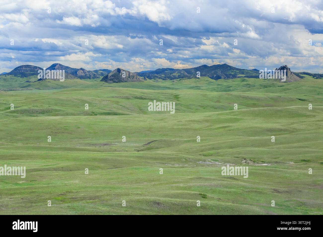 buttes und entfernte adel Berge oberhalb der Präriehügel in der Nähe von simms, montana Stockfoto