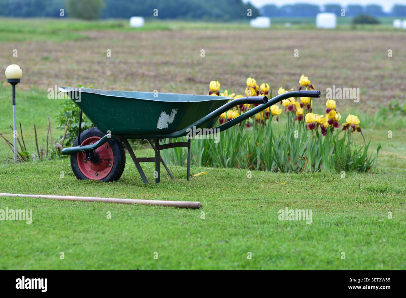 Grüne Schubkarre, die auf einem Rasen neben blühenden Iris in einem ländlichen Garten steht. Gartengeräte in ländlicher Umgebung, symbolisiert Gartenarbeit, La Stockfoto