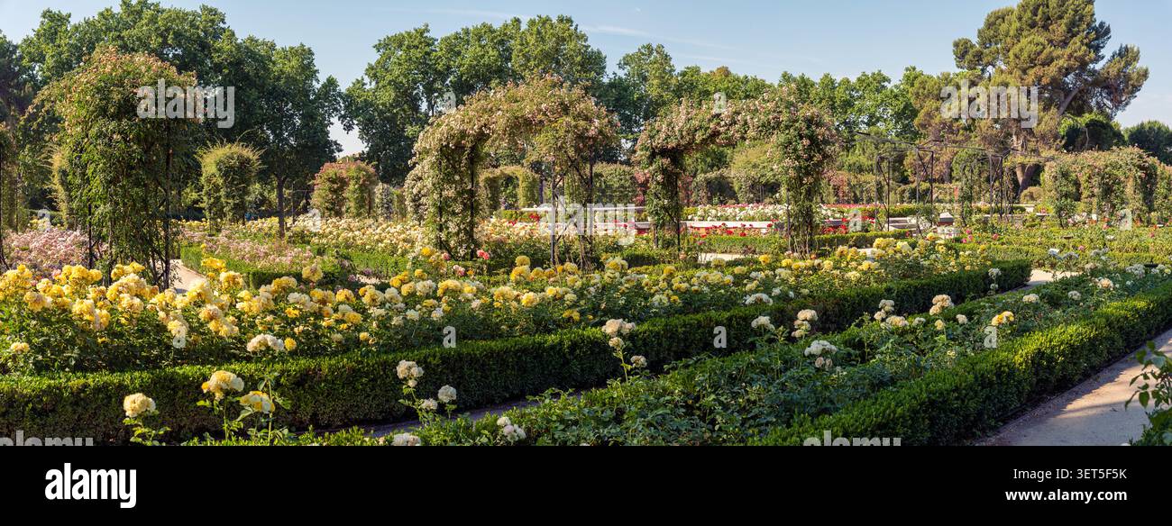 Panoramablick auf den Rosengarten im Retiro Park im Frühling, Madrid. Stockfoto