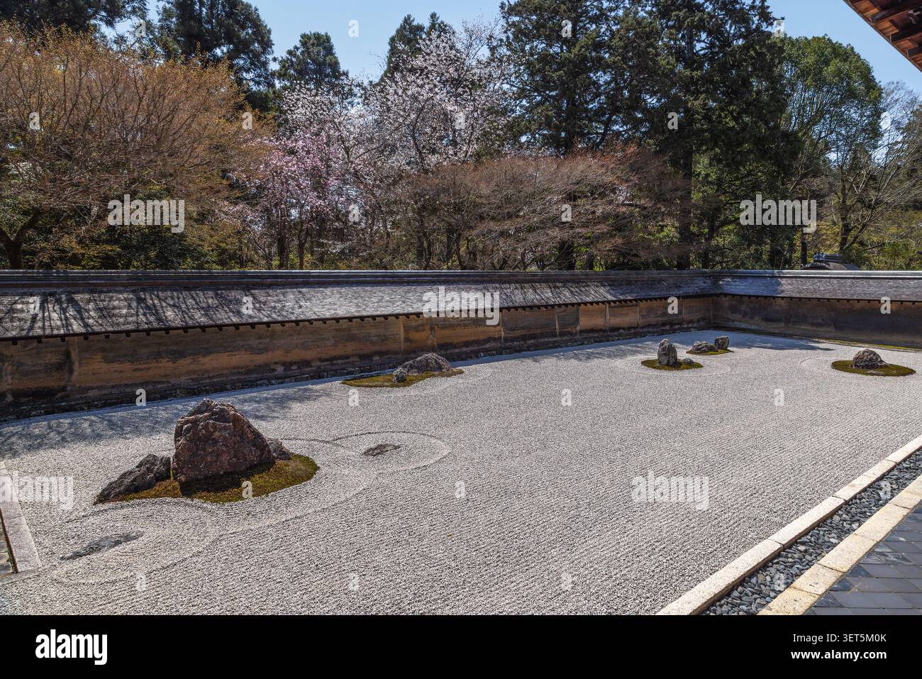Der berühmte Zen-Kiesgarten Ryoanji mit Steinen, die in geharktem weißem Kies gesetzt sind, Kyoto, Japan. Stockfoto
