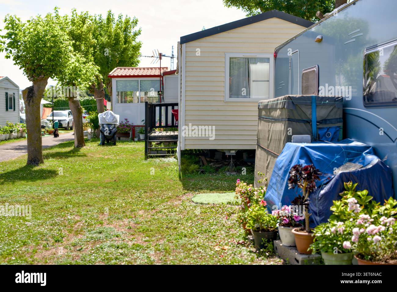 Statische Mobilheime auf Sommerurlaub Campingplatz mit grünen Rasen und Blumen Stockfoto
