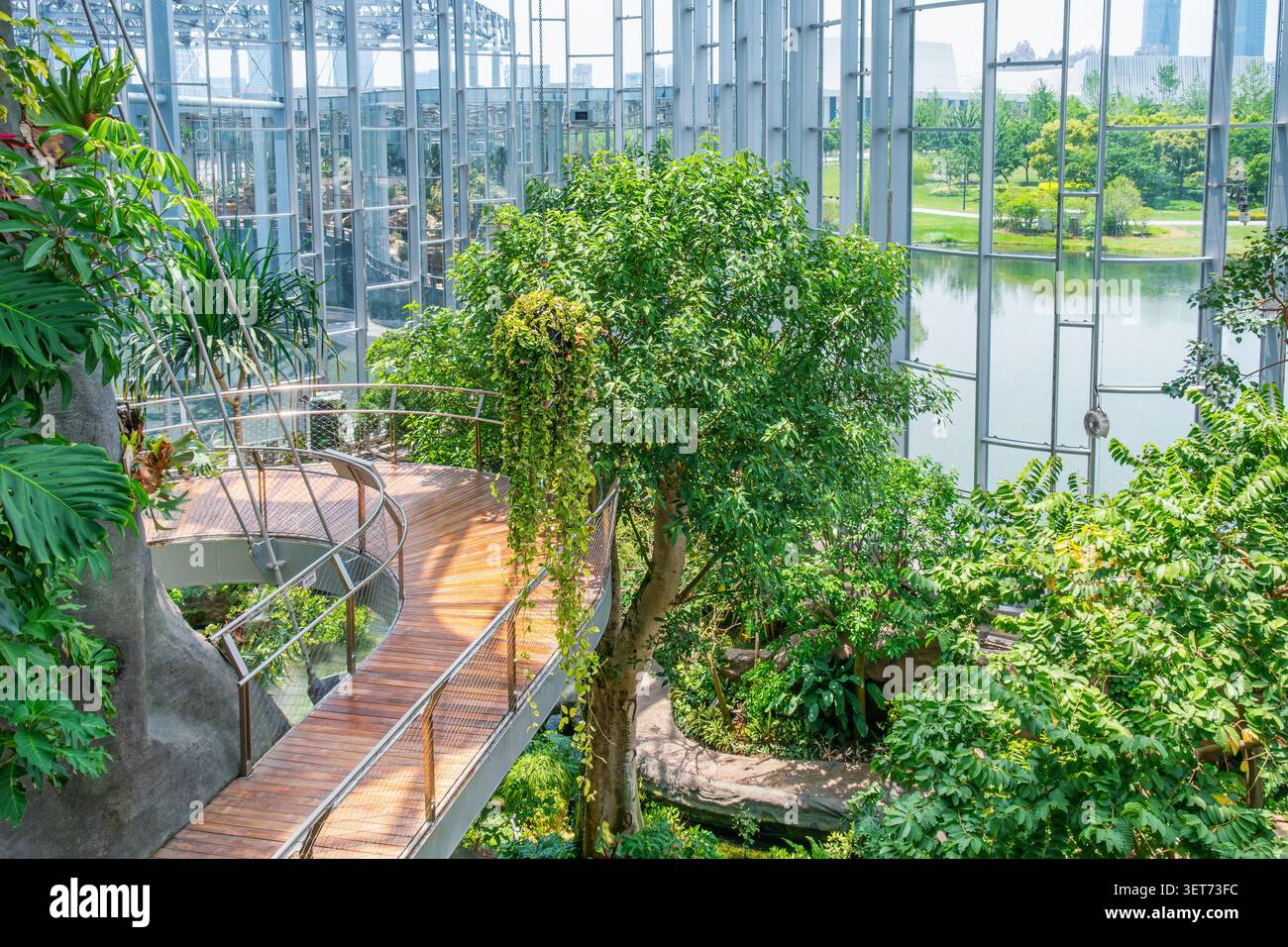 Erhöhter Fußweg durch tropischen Innenwald im modernen Glaskonservatorium in Shanghai, China. Nachhaltiges Architekturdesign Stockfoto