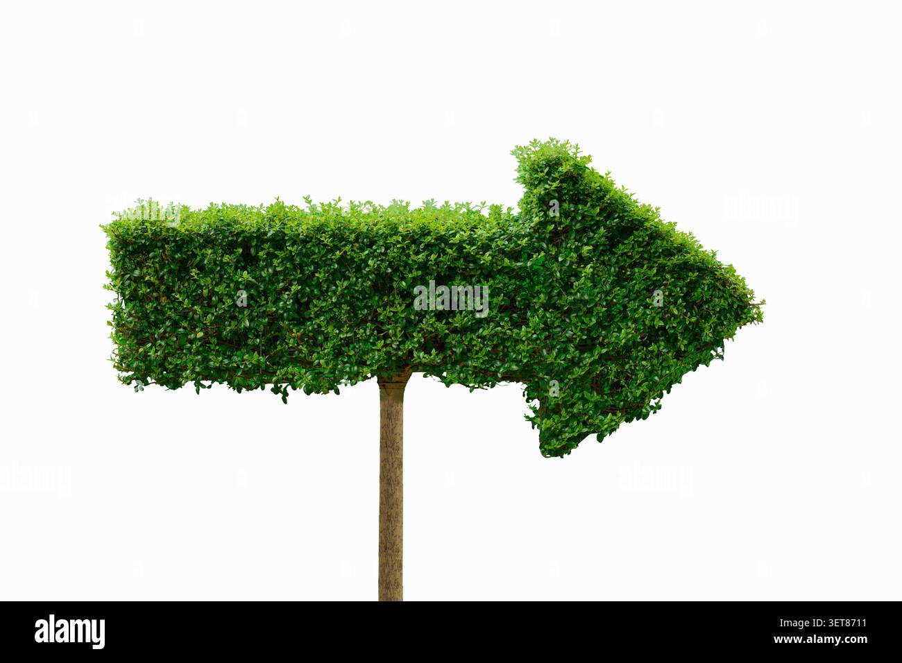 Ein realistischer Apfel aus frischen grünen Blättern, isoliert auf einem transparenten PNG-Hintergrund. ESG-Konzepte; Umwelt- und ökoorientiertes Konzept. Stockfoto