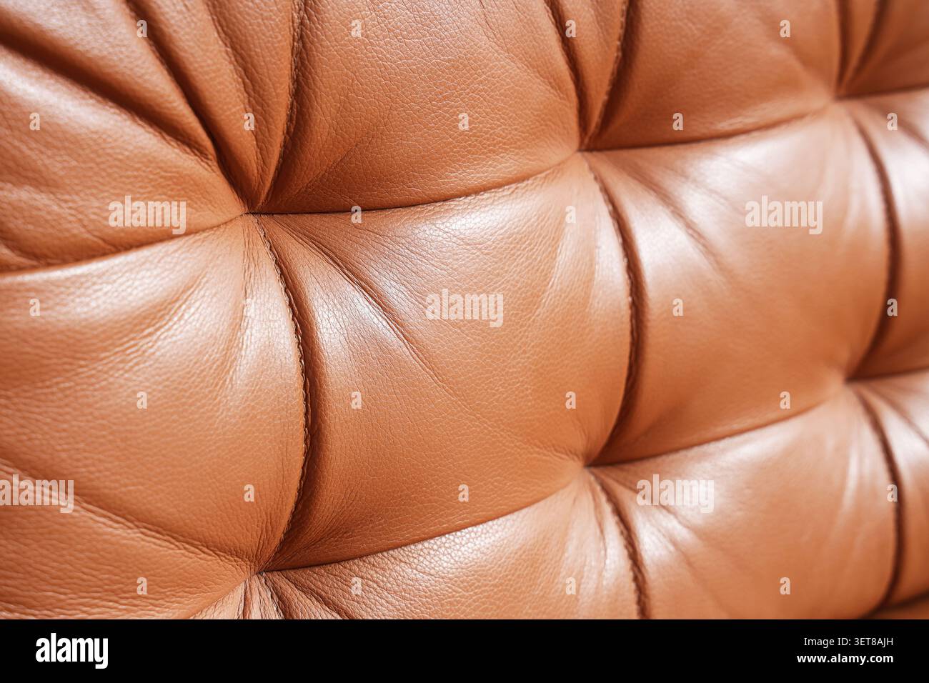 Brauner getufteter Lederpolsterung Textur Hintergrund, luxuriöses Möbelmaterial Detail, elegante Innenarchitektur Oberfläche Stockfoto