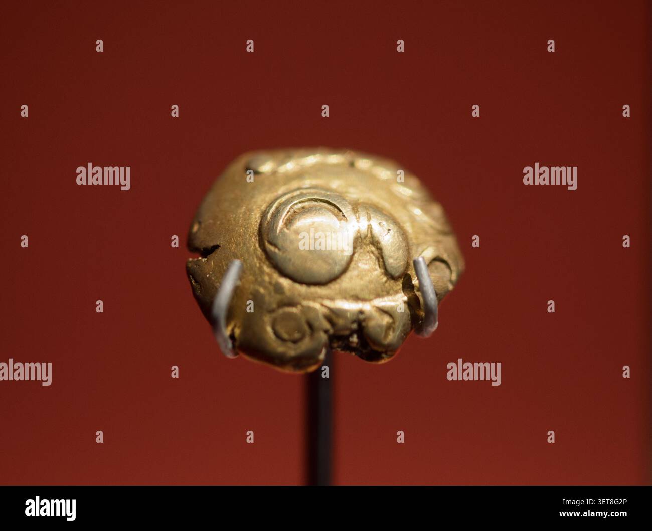 Keltische goldene Statermünze, 2.-1. Jahrhundert v. Chr. Befindet sich in der Archäologischen Staatssammlung in München. Stockfoto