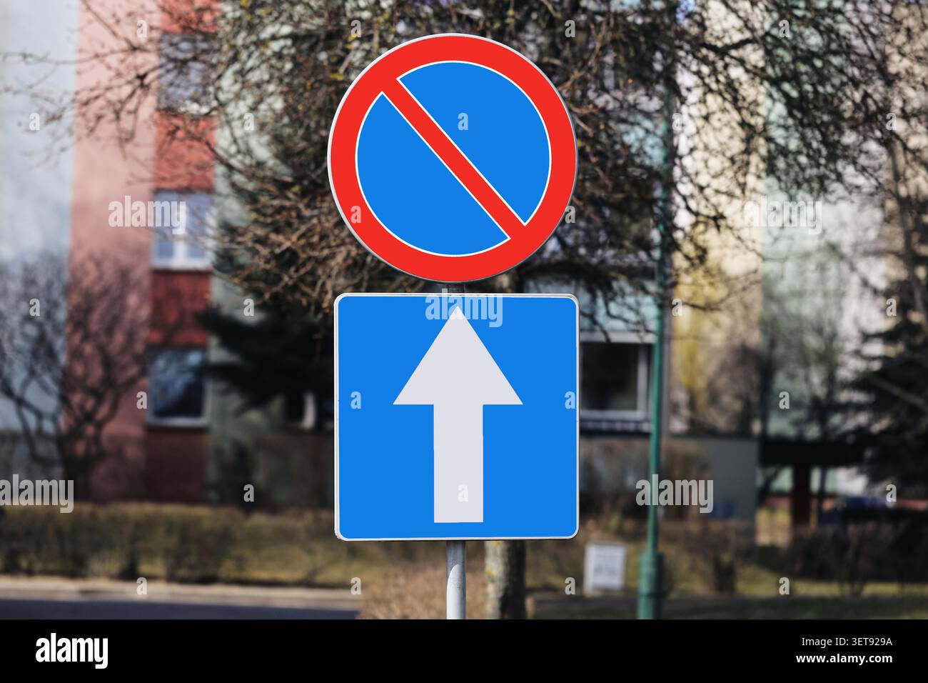 Kein Verkehrsschild über dem Einbahnschild. Hintergrund des städtischen Verkehrs zur Veranschaulichung von Verkehrsvorschriften und Straßenverkehrssicherheit. Stockfoto