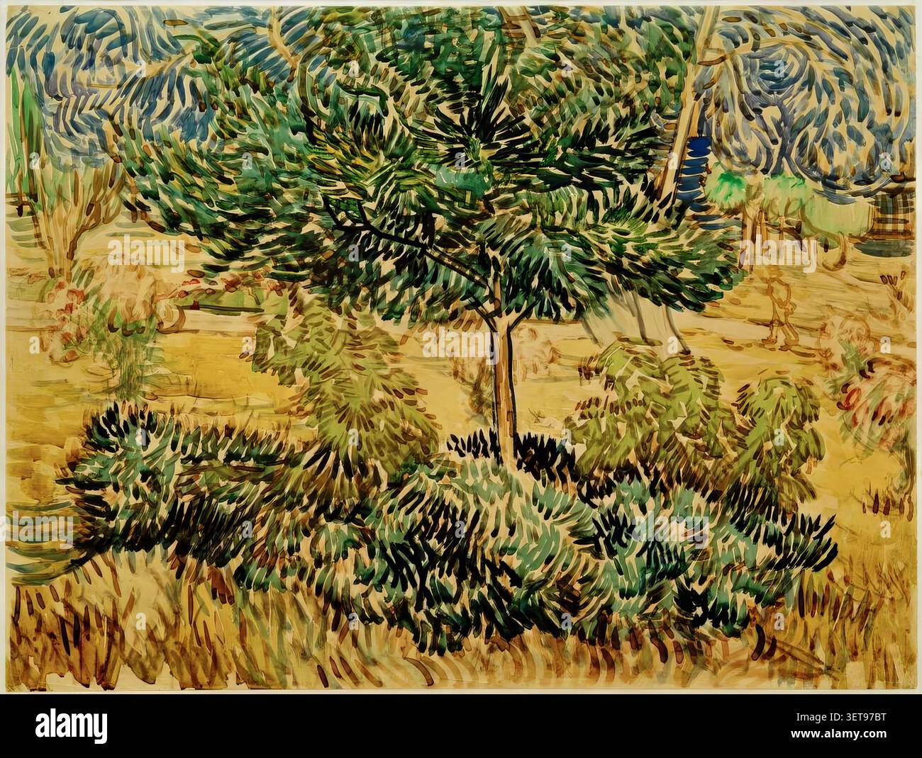 Bäume und Unterholz im Garten des Asylums (1889) von Vincent van Gogh Stockfoto