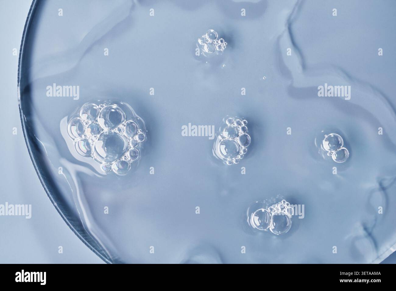 Hautpflege-Schönheitsprodukt in Petrischale auf blauem Hintergrund Stockfoto