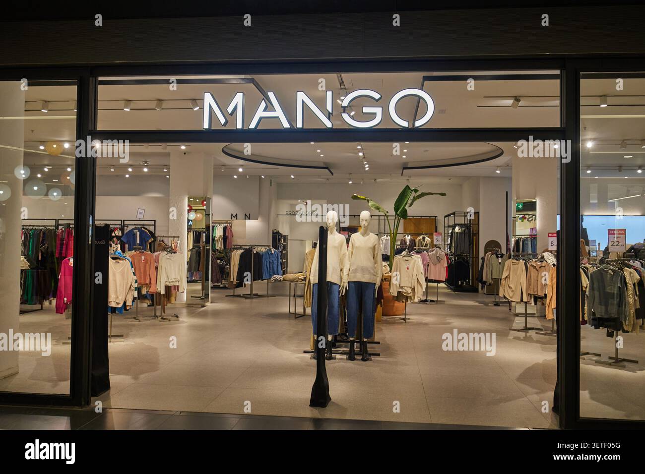 Mango Shop, eine Kette von trendigen Mode- und Accessoires-Geschäften. Valencia, Spanien - 27. Januar 2024. Stockfoto