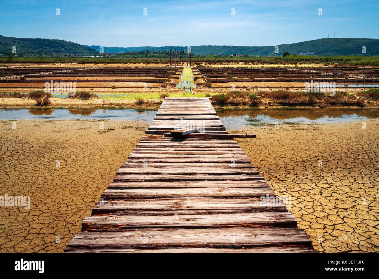 Secovlje, Slowenien, am Verdunstungsteich der Saline Secovlje. Stockfoto