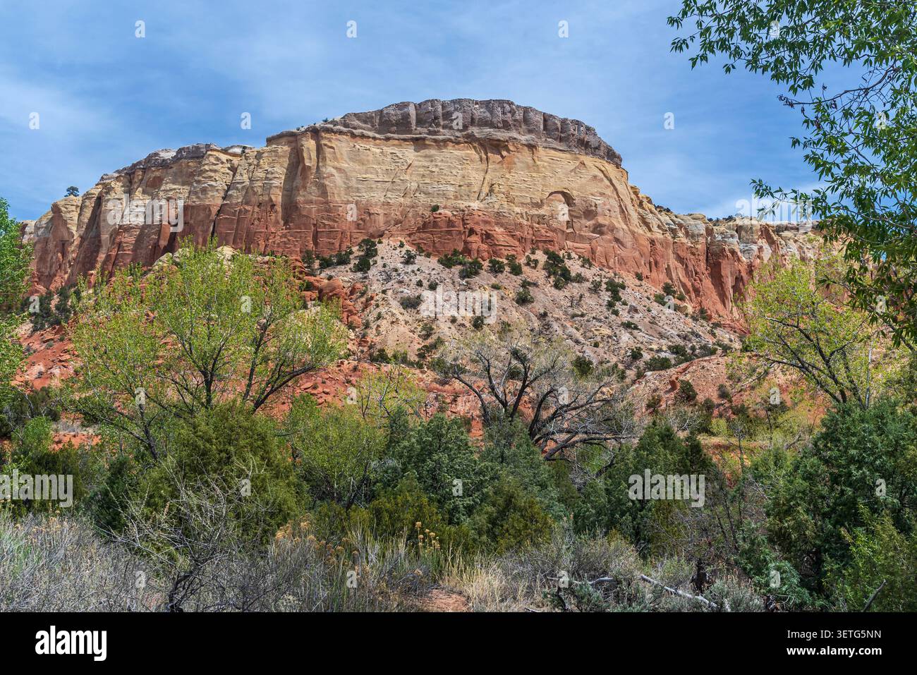 Landschaft der Ghost Ranch, New Mexico, USA Stockfoto