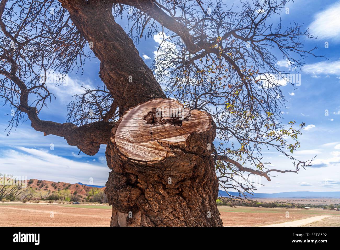 Landschaft der Ghost Ranch, New Mexico, USA Stockfoto
