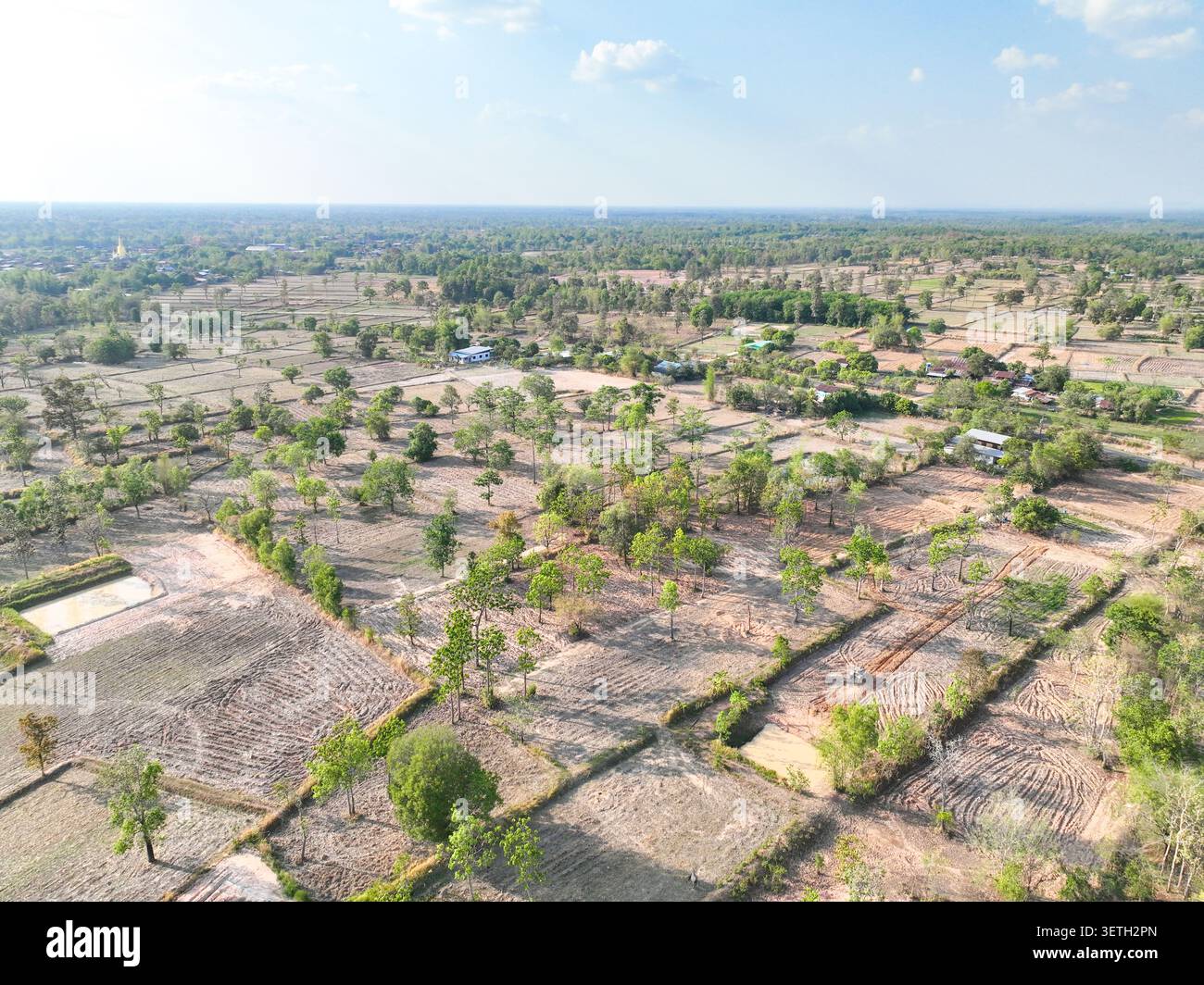 Fleckenbauernfelder und landwirtschaftliche Flächen auf dem Lande. Anbauflächen, natürliche Vegetation und ausgedehnter Horizont während der Trockenzeit. S Stockfoto