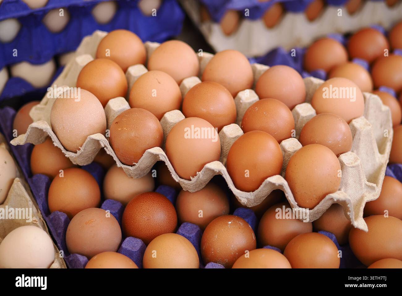 Frische Eier im Karton auf einem Markt am Morgen Stockfoto