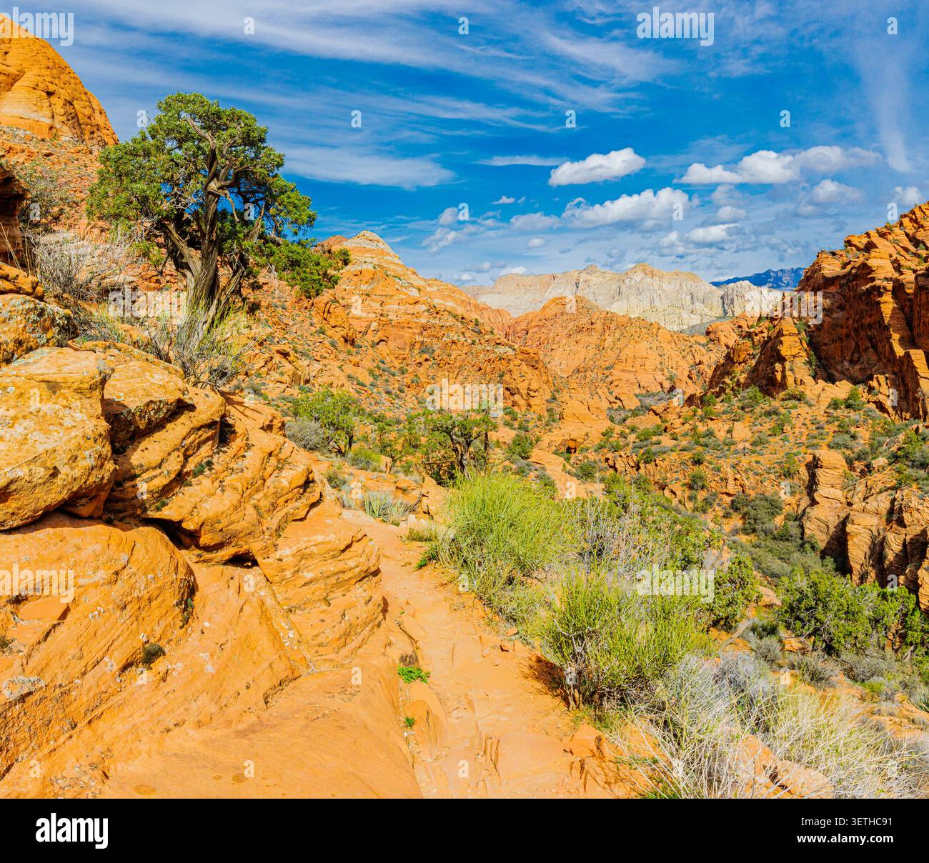 Blick vom Saddle auf den Padre Canyon mit White Rock Peak in der Ferne, Snow Canyon State Park, Utah, USA Stockfoto